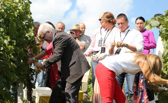 Održana Diplomatska berba 2013.