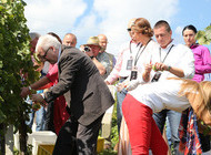 Održana Diplomatska berba 2013.