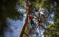 Jastrebarsko ugostilo arboriste iz cijele Europe